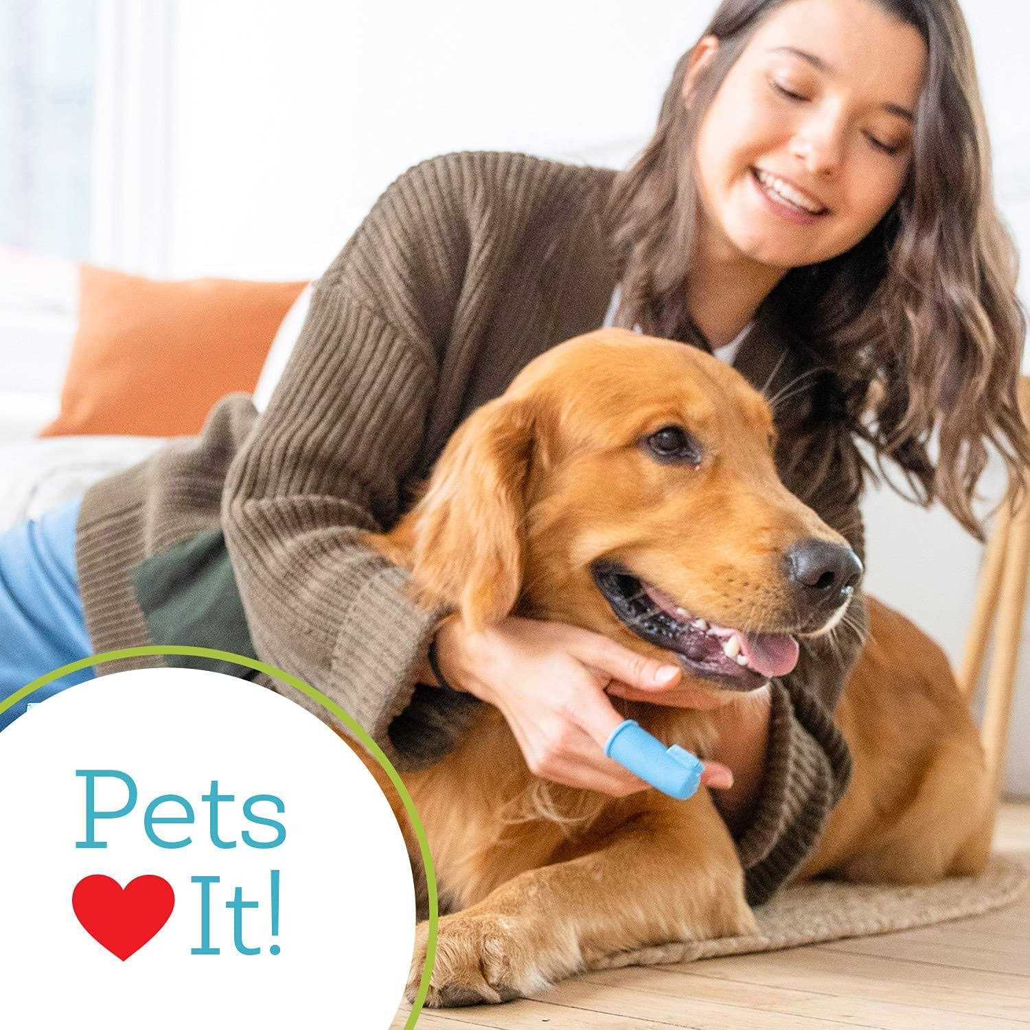 Oxyfresh Pet Finger Brush Blue - Nail Gallerys