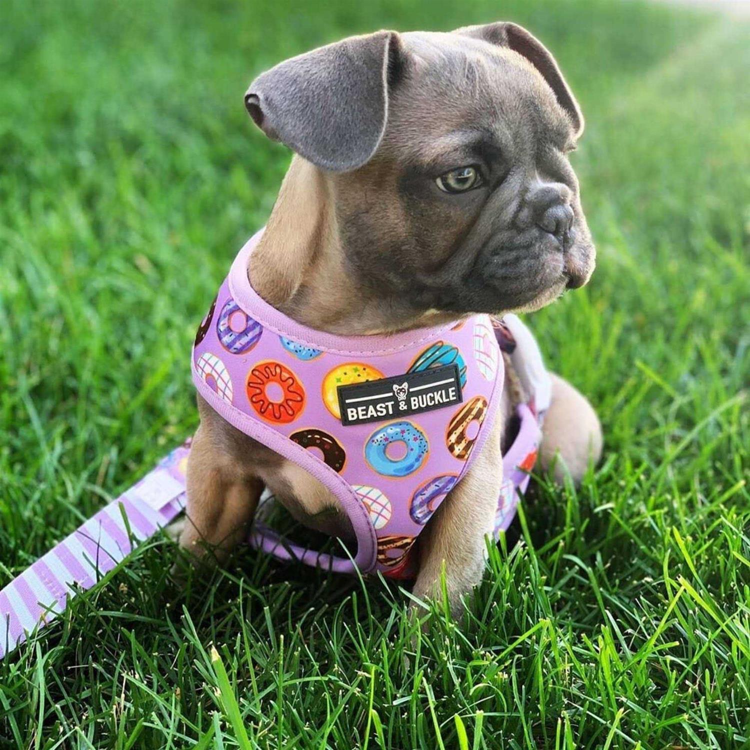 Beast & Buckle Reversible Dog Harness - Nail Gallerys