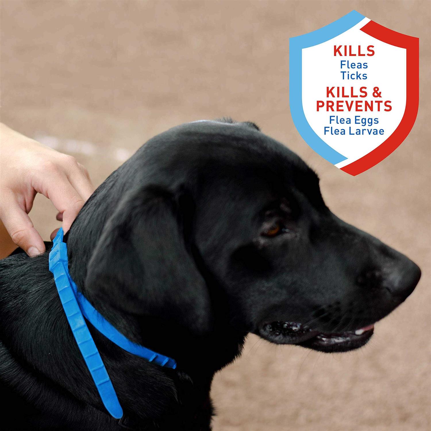 Adams Flea and Tick Collar For Dogs - Nail Gallerys