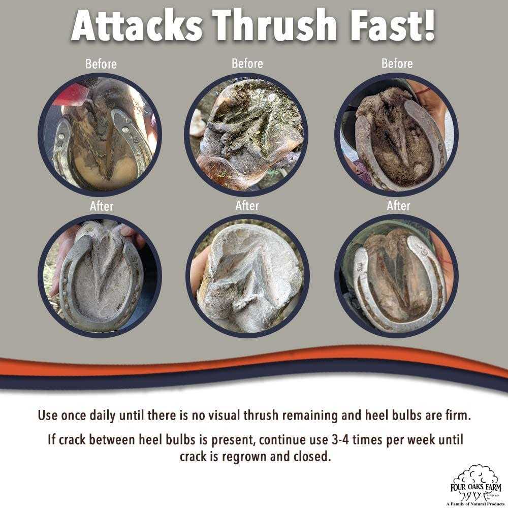 No Thrush Dry Formula - Nail Gallerys