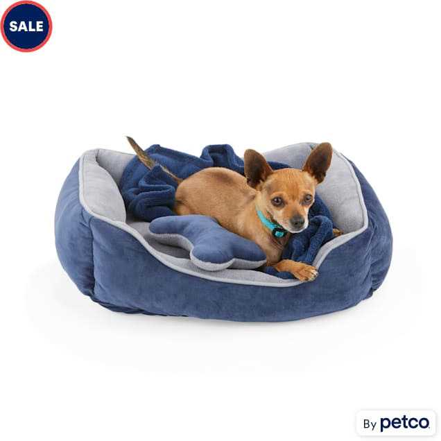 EveryYay Essentials Snooze Fest Dog Bed Bundle - Nail Gallerys
