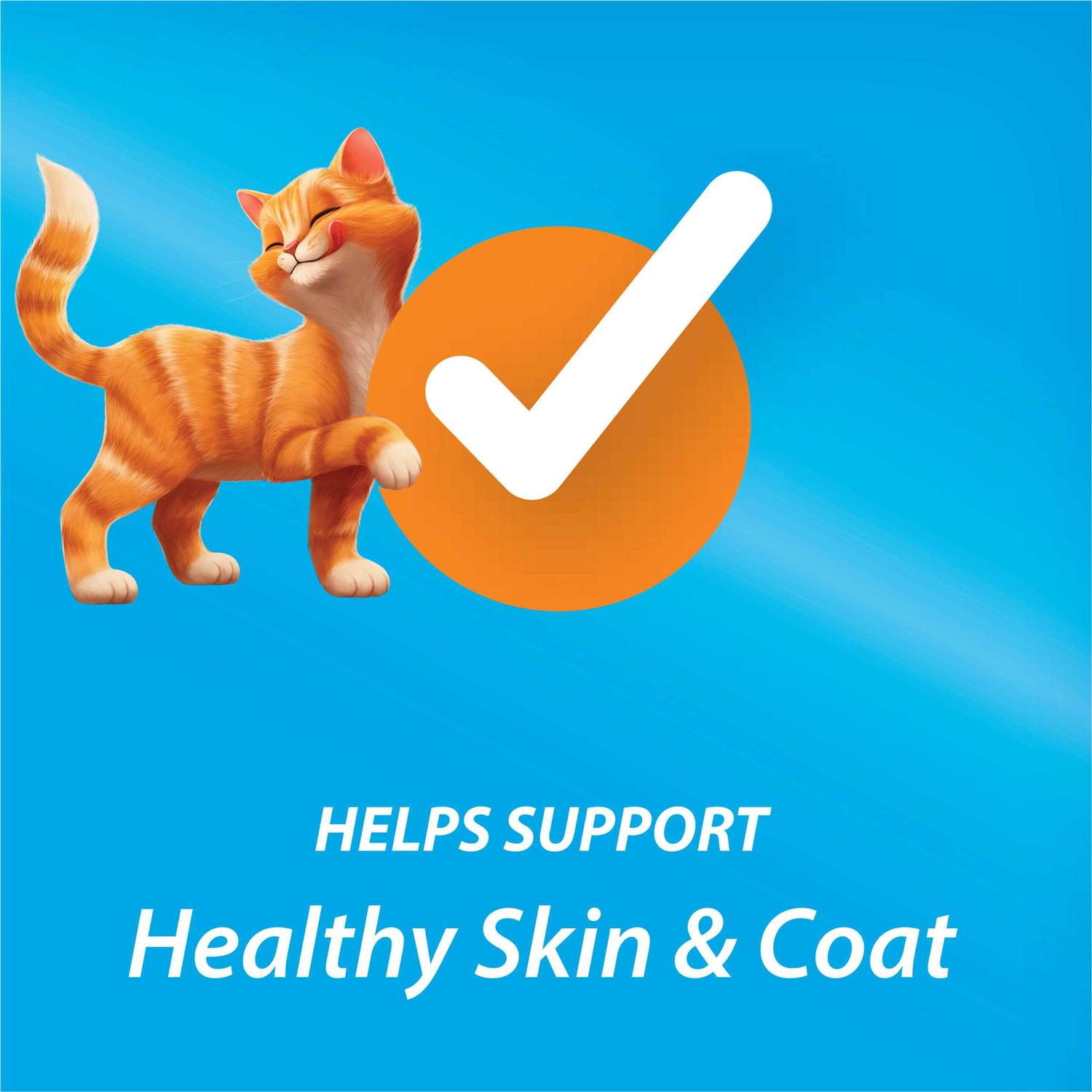 Purina Kit & Kaboodle Dry Cat Food - Nail Gallerys