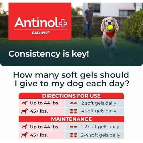 Antinol Plus, Mobility, Hip, and Joint Supplement for Dogs, Green-Lipped Mussels and Krill Oil - Nail Gallerys