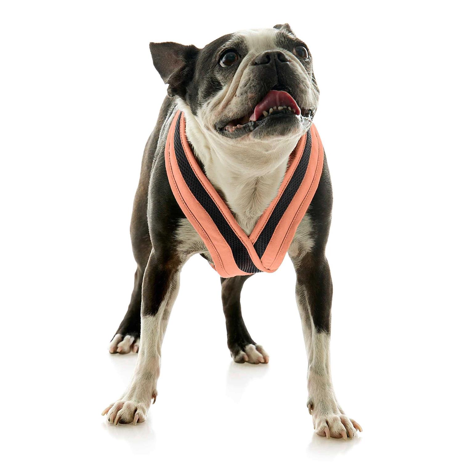 Gooby Escape Free Comfort X One Dog Harness - Nail Gallerys