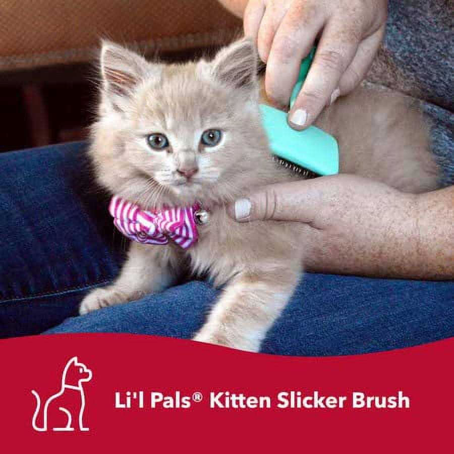 Coastal Pet Products Lil’l Pals Kitten Slicker Brush with Coated Tips - Nail Gallerys