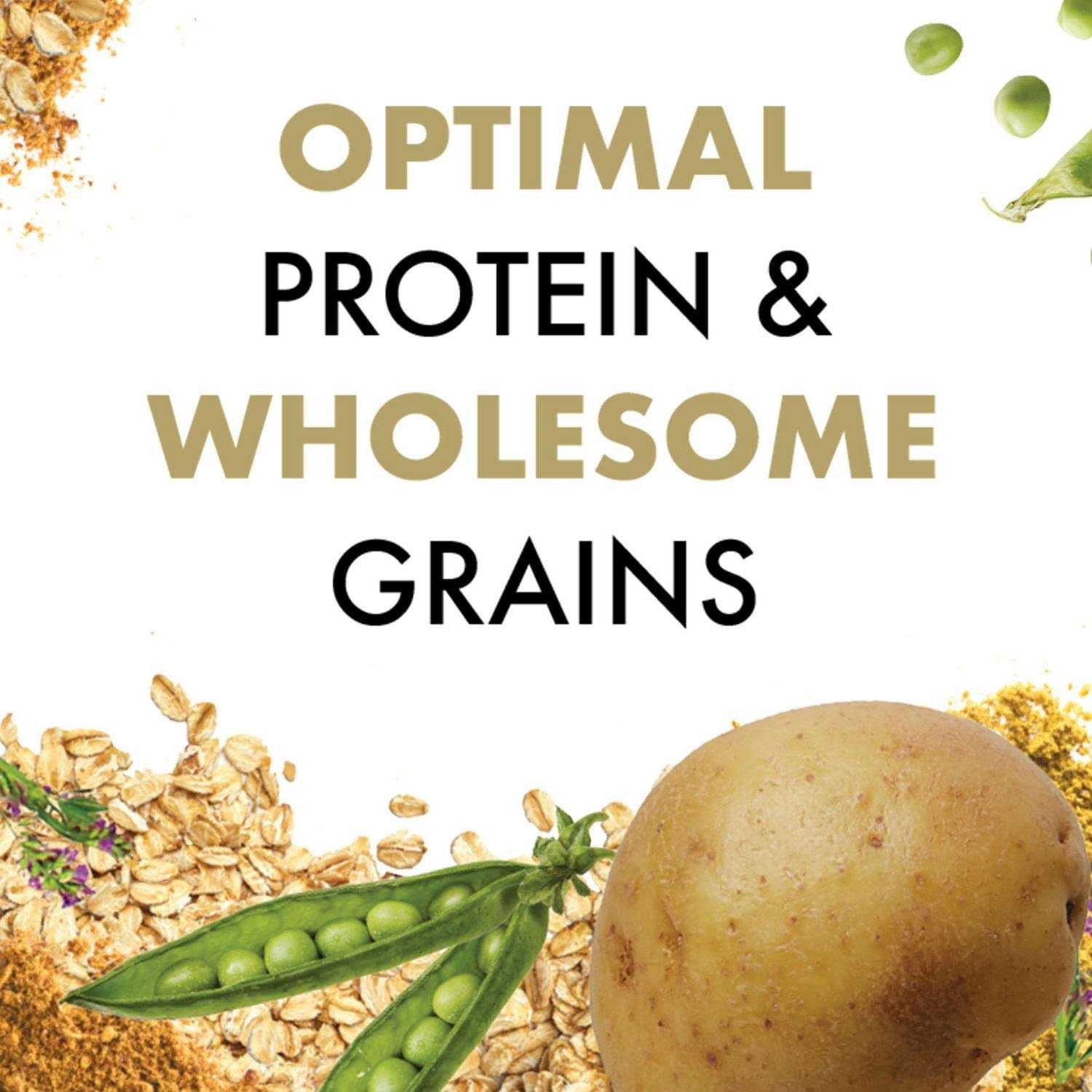 Canidae All Life Stages Dry Dog Food - Nail Gallerys