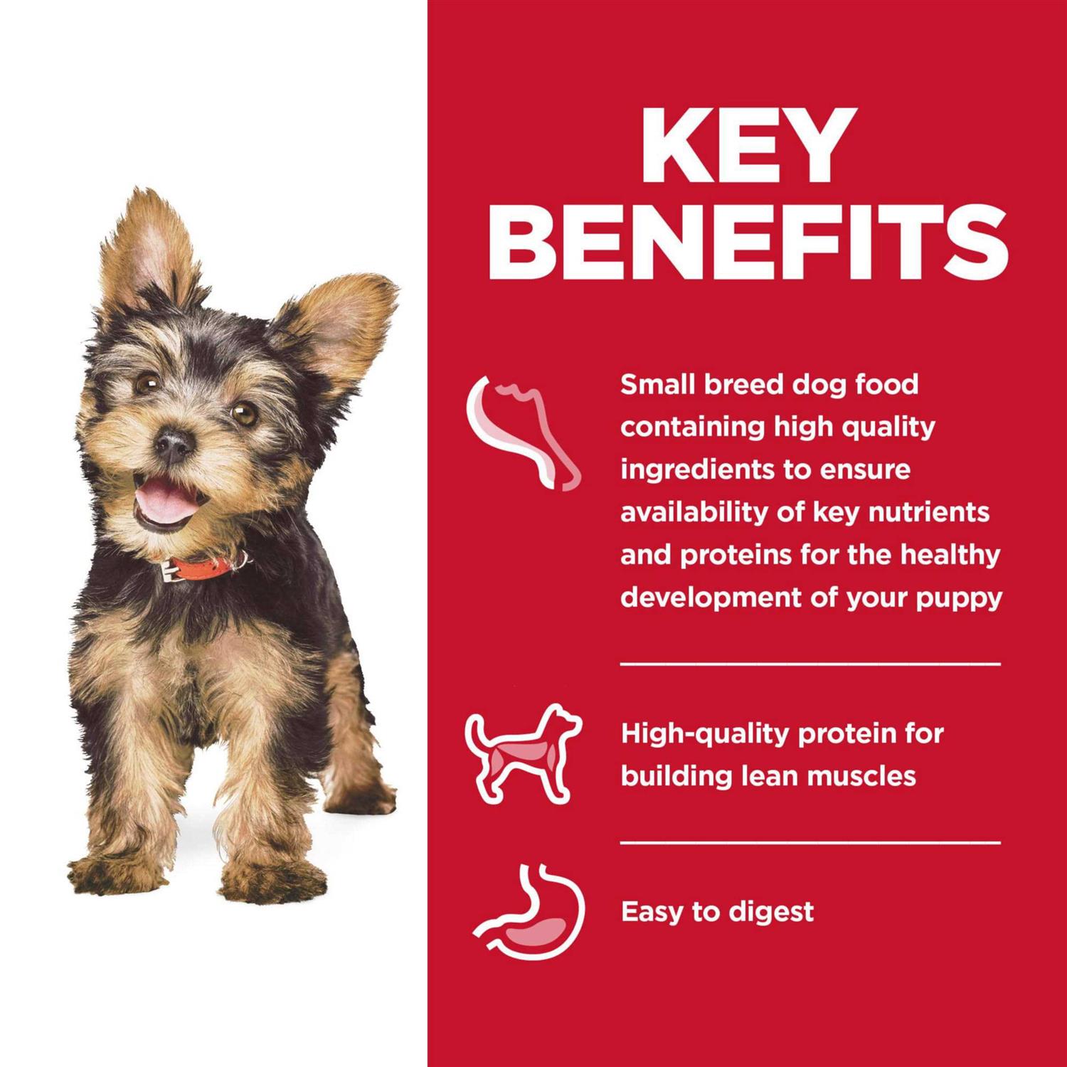 Hill’s Science Diet Wet Dog Food Puppy Small Paws for Small Breeds - Nail Gallerys