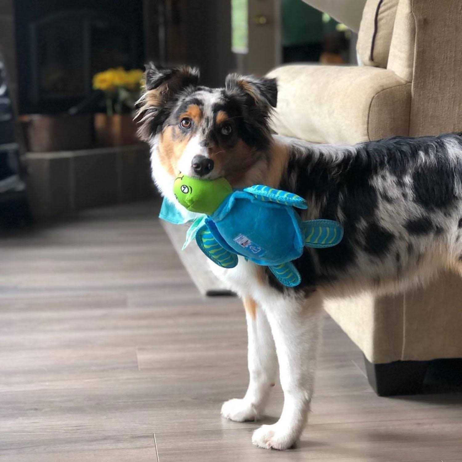 Spunky Pup Clean Earth Plush Turtle Dog Toy - Nail Gallerys