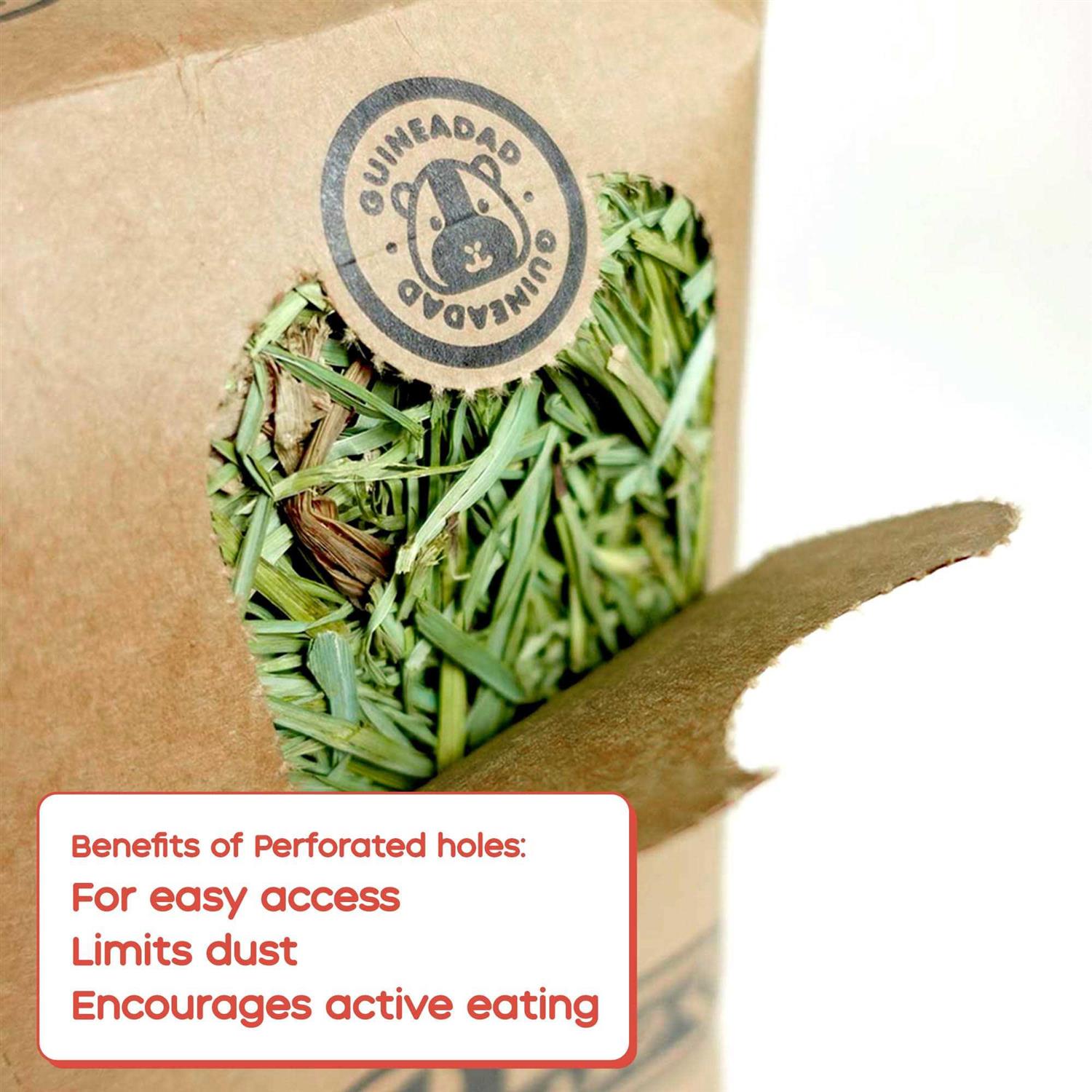 Guineadad Timothy Hay for Guinea Pigs Rabbits - Nail Gallerys