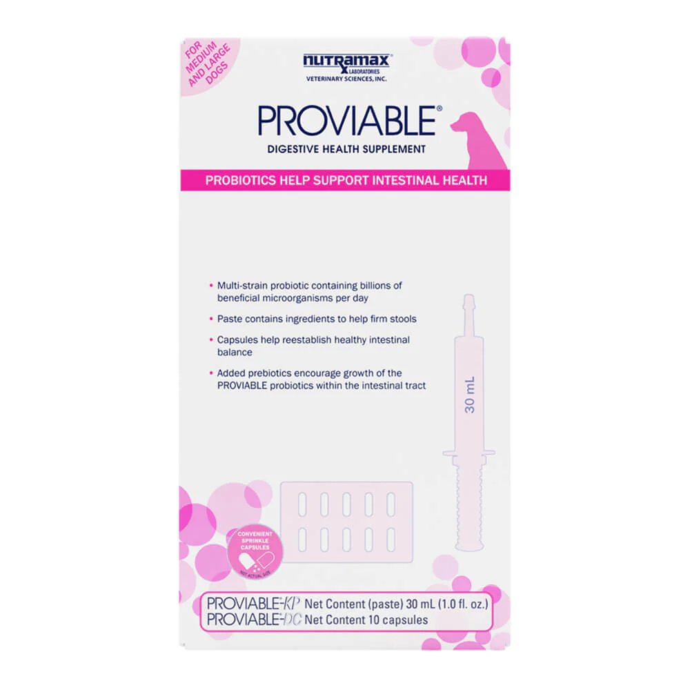 Nutramax Proviable-KP/DC Kit for Medium and Large Dogs, 30 mL Paste/10 Capsules - Nail Gallerys