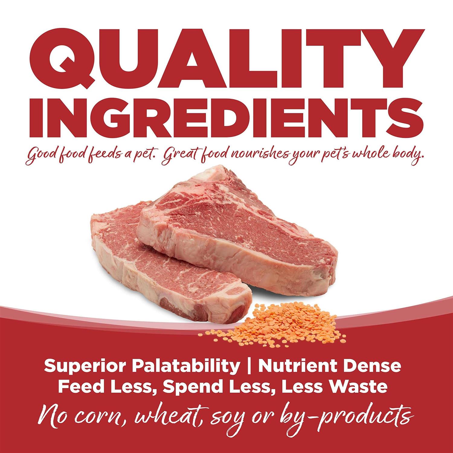 PureVita Beef & Red Lentils Grain Free Dry Dog Food - Nail Gallerys