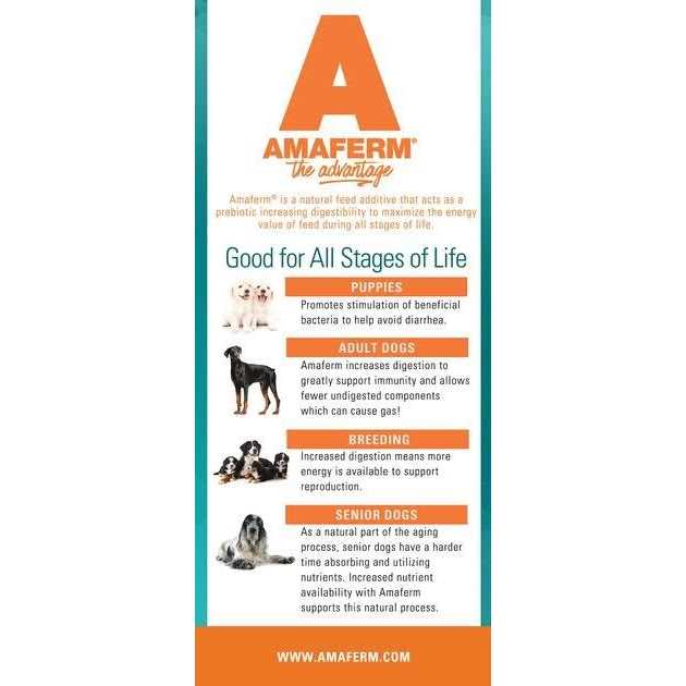 Country Vet Naturals 24/14 Healthy Diet Dry Dog Food - Nail Gallerys