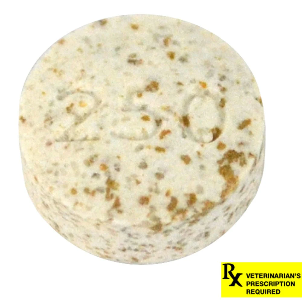 Rx K-BroVet (potassium bromide) Chewable Tablet for Dogs, Single Tab - Nail Gallerys