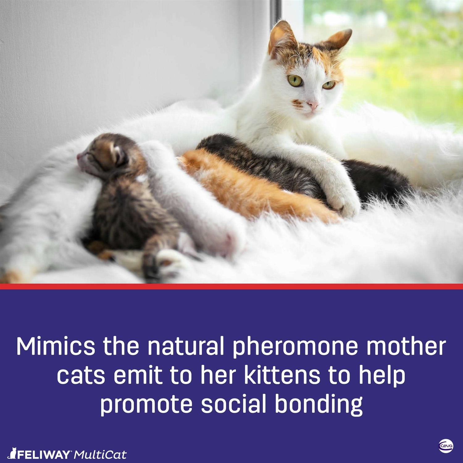 Feliway MultiCat 30-Day Diffuser Starter Kit - Nail Gallerys