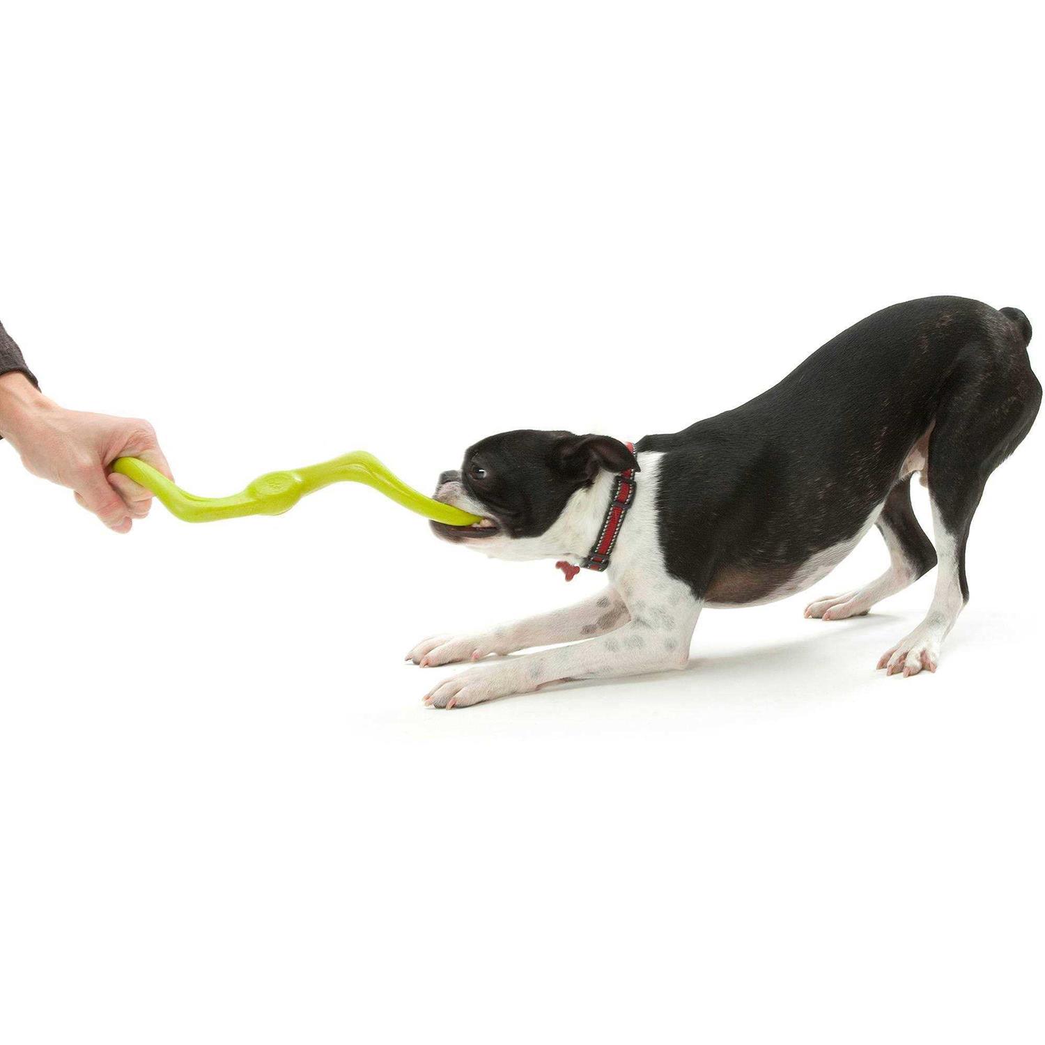West Paw Bumi Dog Toy - Nail Gallerys