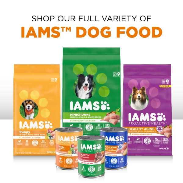 Iams Proactive Health Wet Dog Food Variety Pack - Nail Gallerys