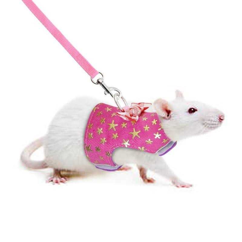 Stock Show Small Pet Outdoor Walking Harness Vest and Leash Set with Cute Bowknot Decor Chest Strap Harness for Rat Ferret Hamster Squirrel Clothes - Nail Gallerys