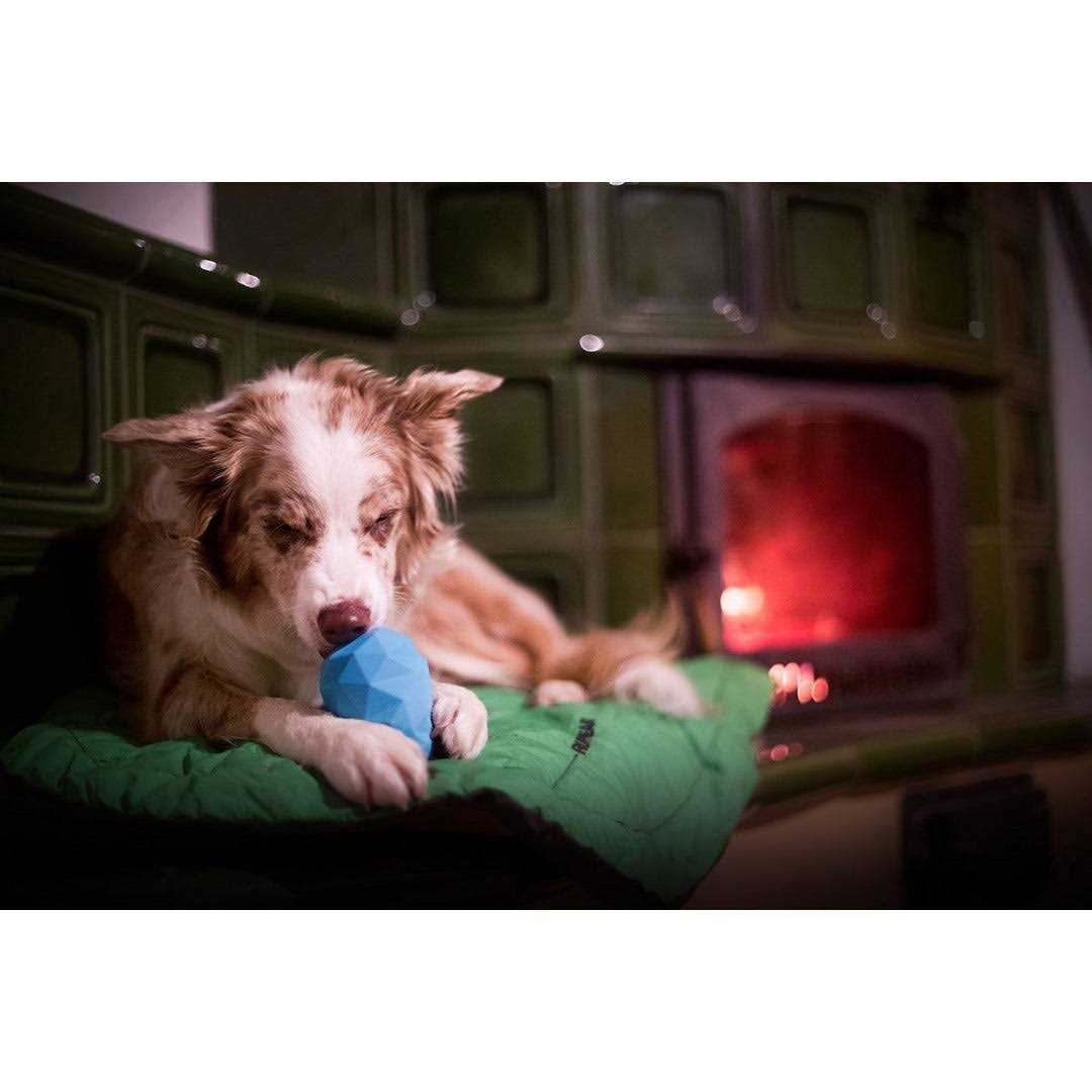 Gnawt-a-Cone Toy Ruffwear - Nail Gallerys