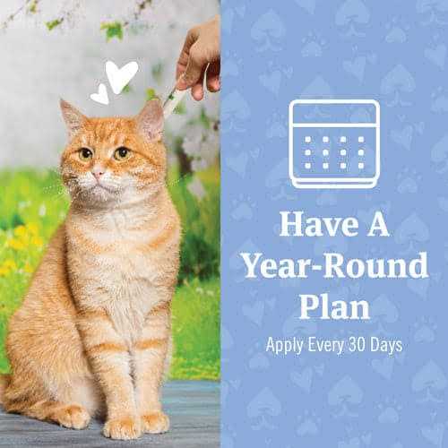 PetArmor Plus Flea and Tick Treatment for Cats - Nail Gallerys