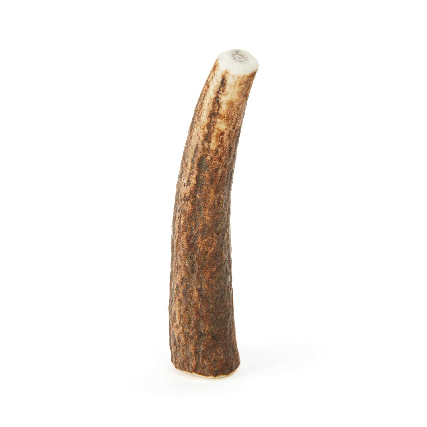 Good Lovin’ Whole Elk Antler Dog Chew - Nail Gallerys