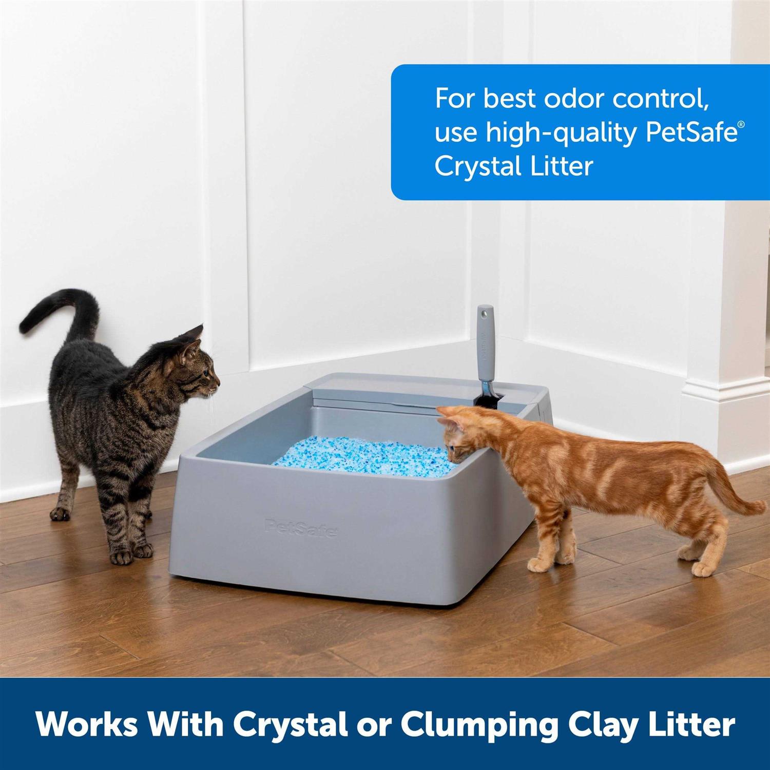 PetSafe Multi-Cat Litter Box - Nail Gallerys