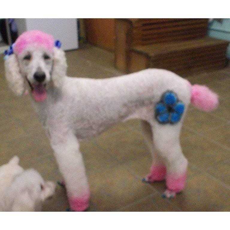 Warren London Critter Color - Nail Gallerys