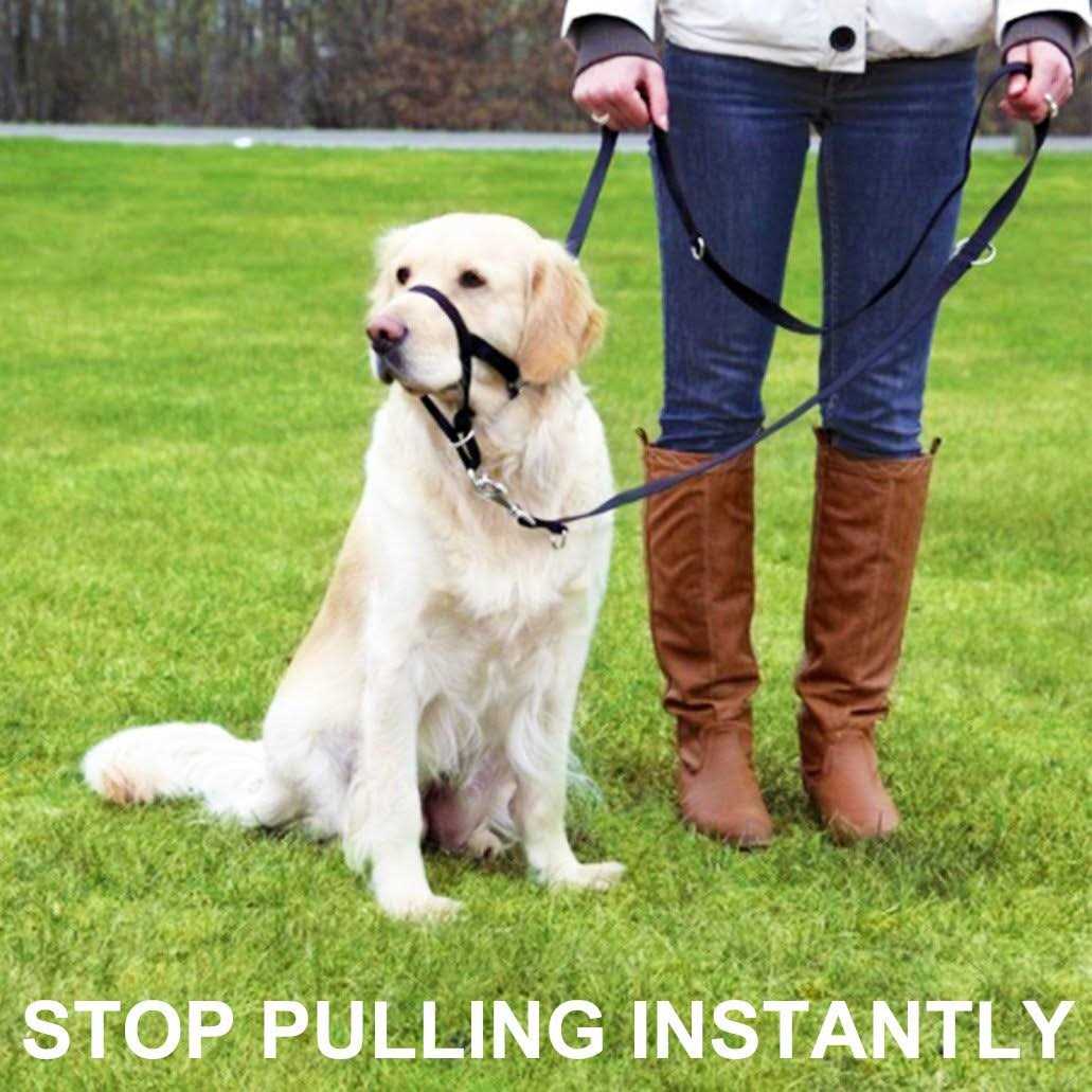 Barkless Dog Head Collar No Pull Training Tool for Dogs on Walks - Nail Gallerys