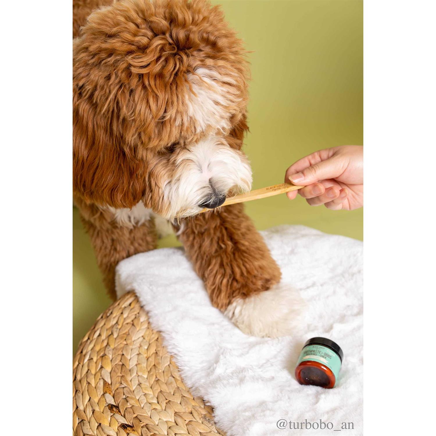 Black Sheep Organics Dog Peppermint Toothpaste - Nail Gallerys