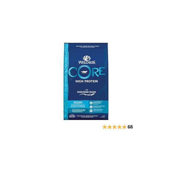 Wellness CORE High Protein Wholesome Grains Ocean Recipe Dry Dog Food - Nail Gallerys