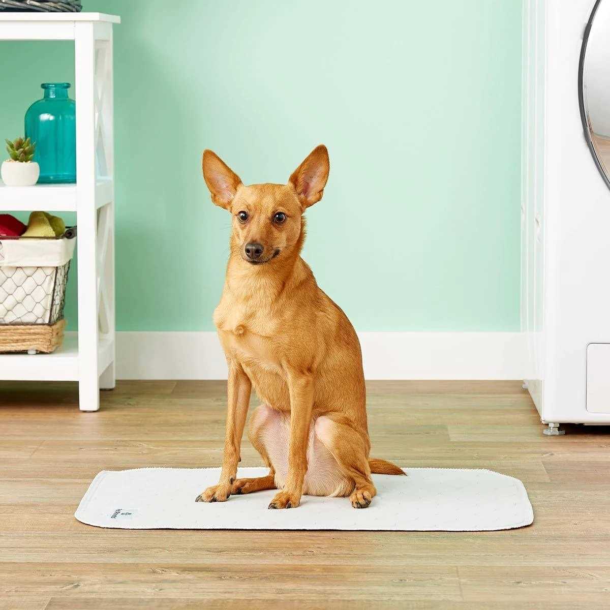 Pet Parents Pawtect Pads Washable Dog Pee Pads - Nail Gallerys