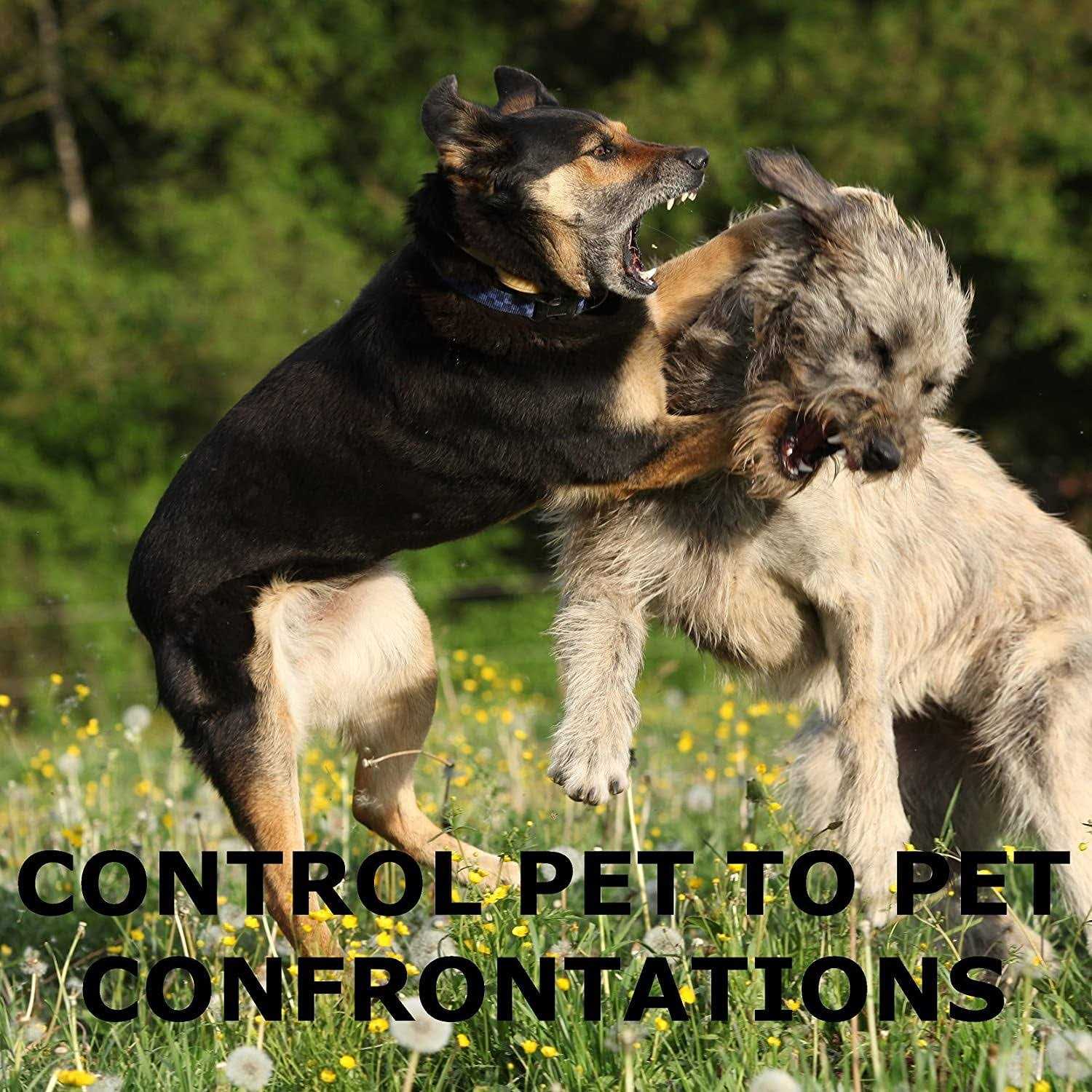 Safety-Sport Dog Horn XL - Nail Gallerys