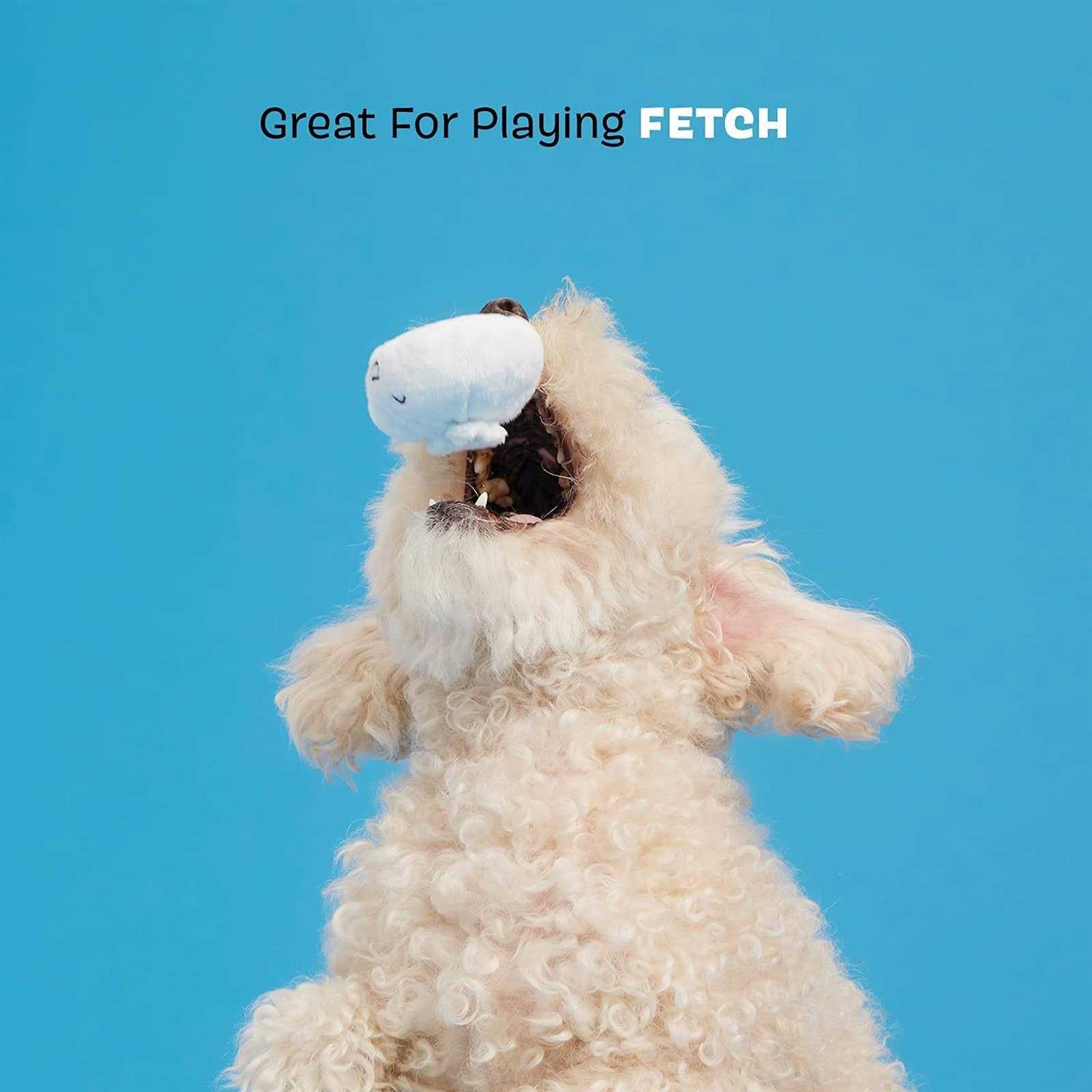 Bark Andi’s Famous Dumplings Plush Dog Toy - Nail Gallerys