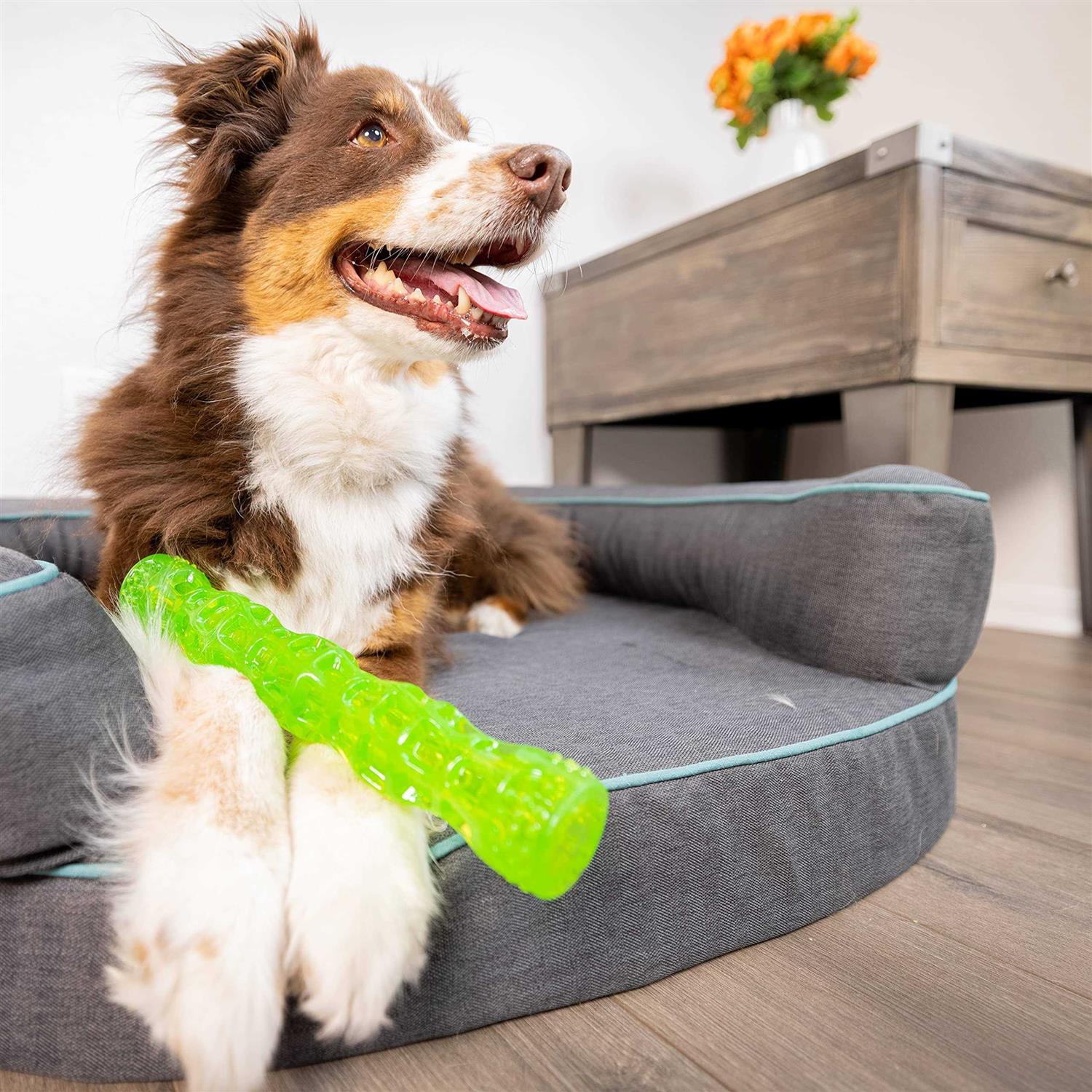 Hyper Pet Dura-Squeaks Dog Toy Stick - Nail Gallerys