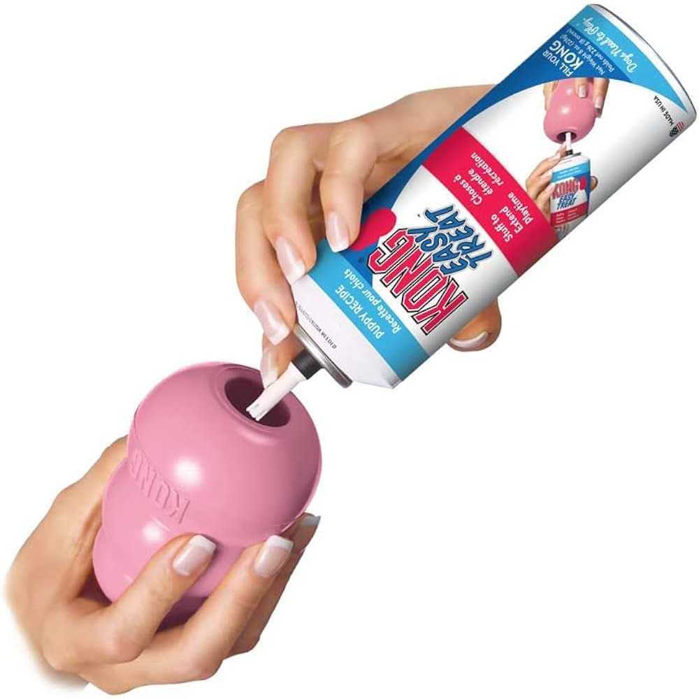 KONG Puppy Toy - Nail Gallerys