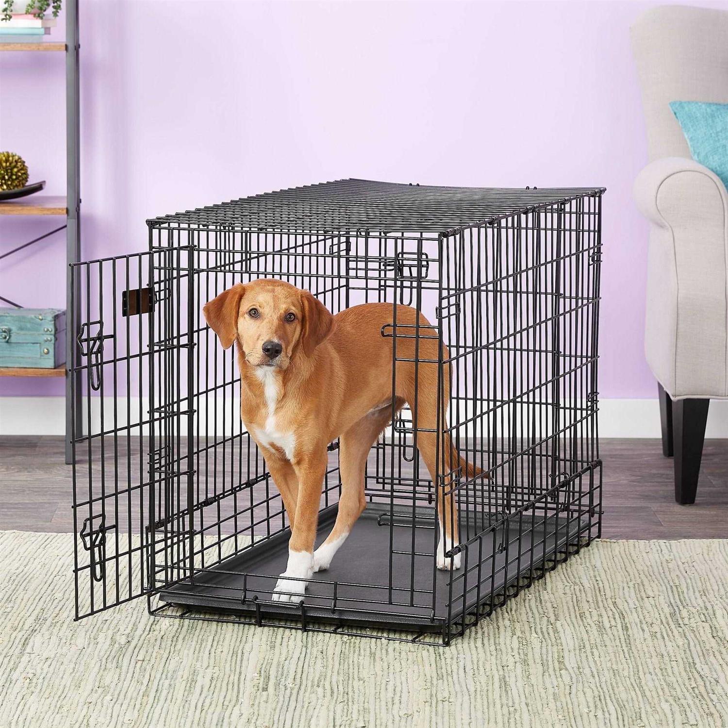 Midwest Side by Side Double Door SUV Dog Crate - Nail Gallerys