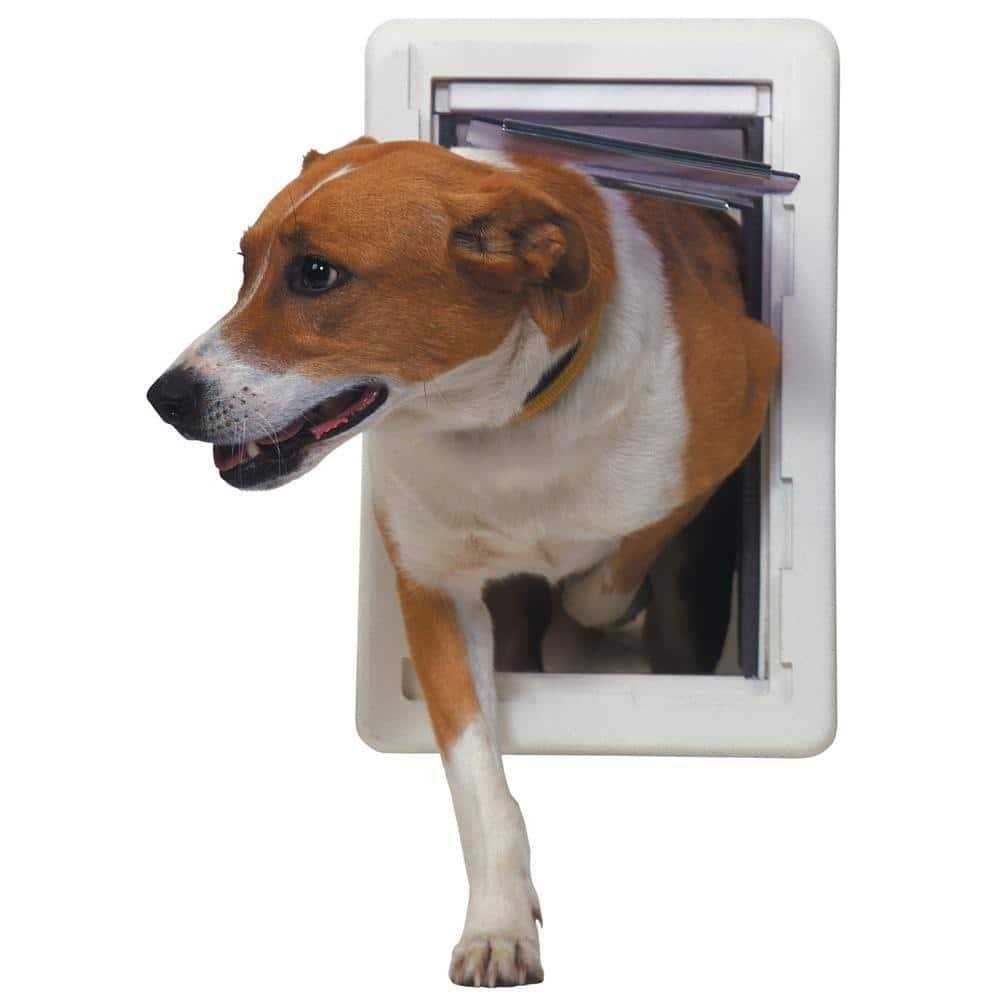 Ideal Pet Products Medium Ruff Weather Pet Door - Nail Gallerys