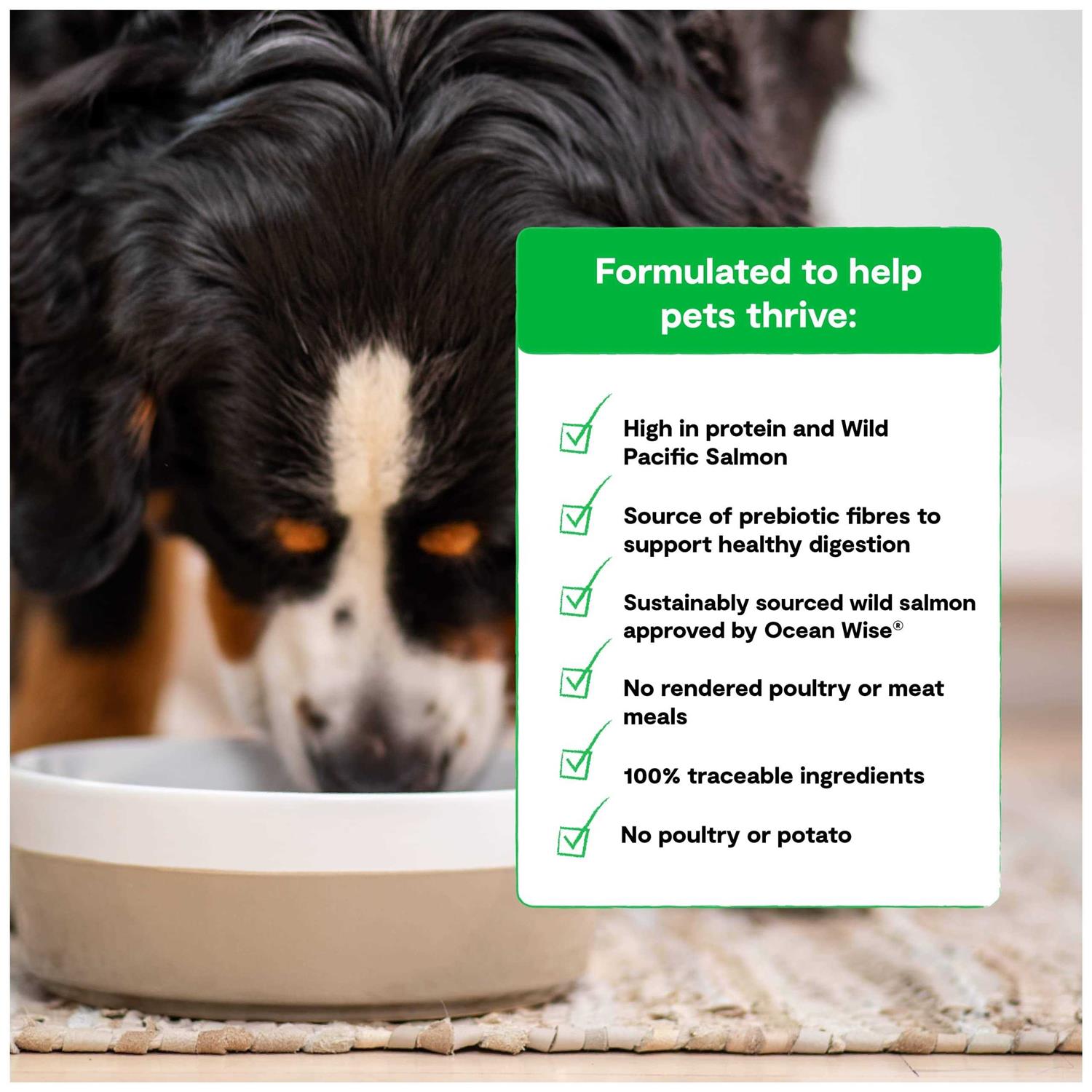 Open Farm Grain-Free Wild-Caught Salmon Dry Dog Food - Nail Gallerys