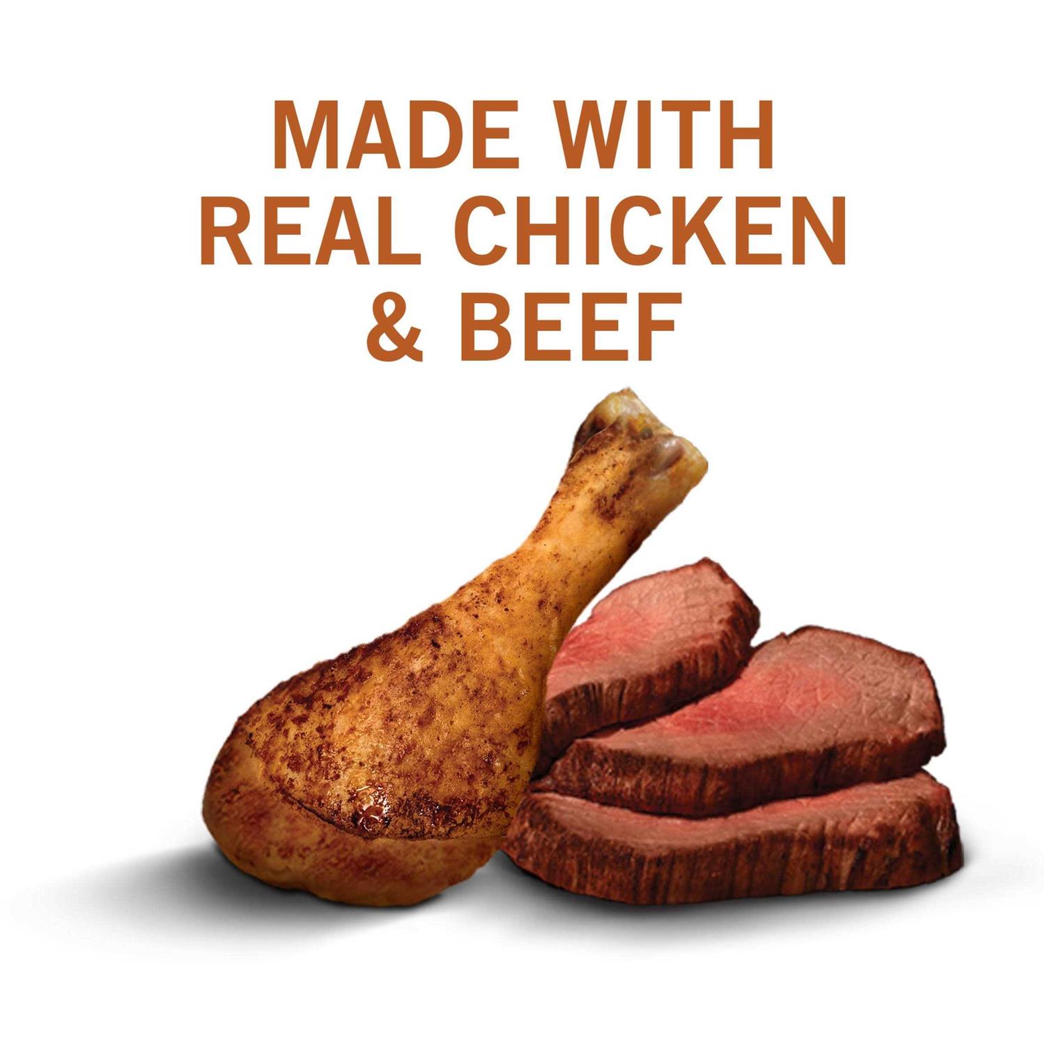 Purina Dog Chow 8lb Little Bites Dog Food - Nail Gallerys