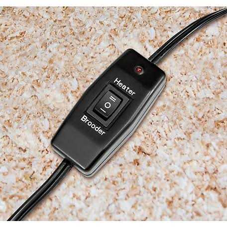 Producer’s Pride Chicken Coop Brooder and Heater 1299682 - Nail Gallerys