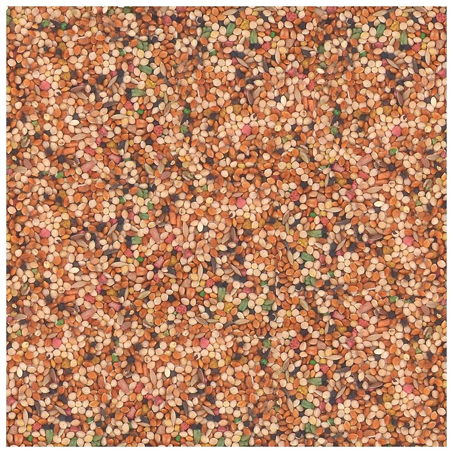 Wild Harvest Universal Blend Birds - Nail Gallerys