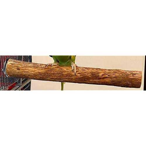 Pollys Hardwood Bird Perch - Nail Gallerys