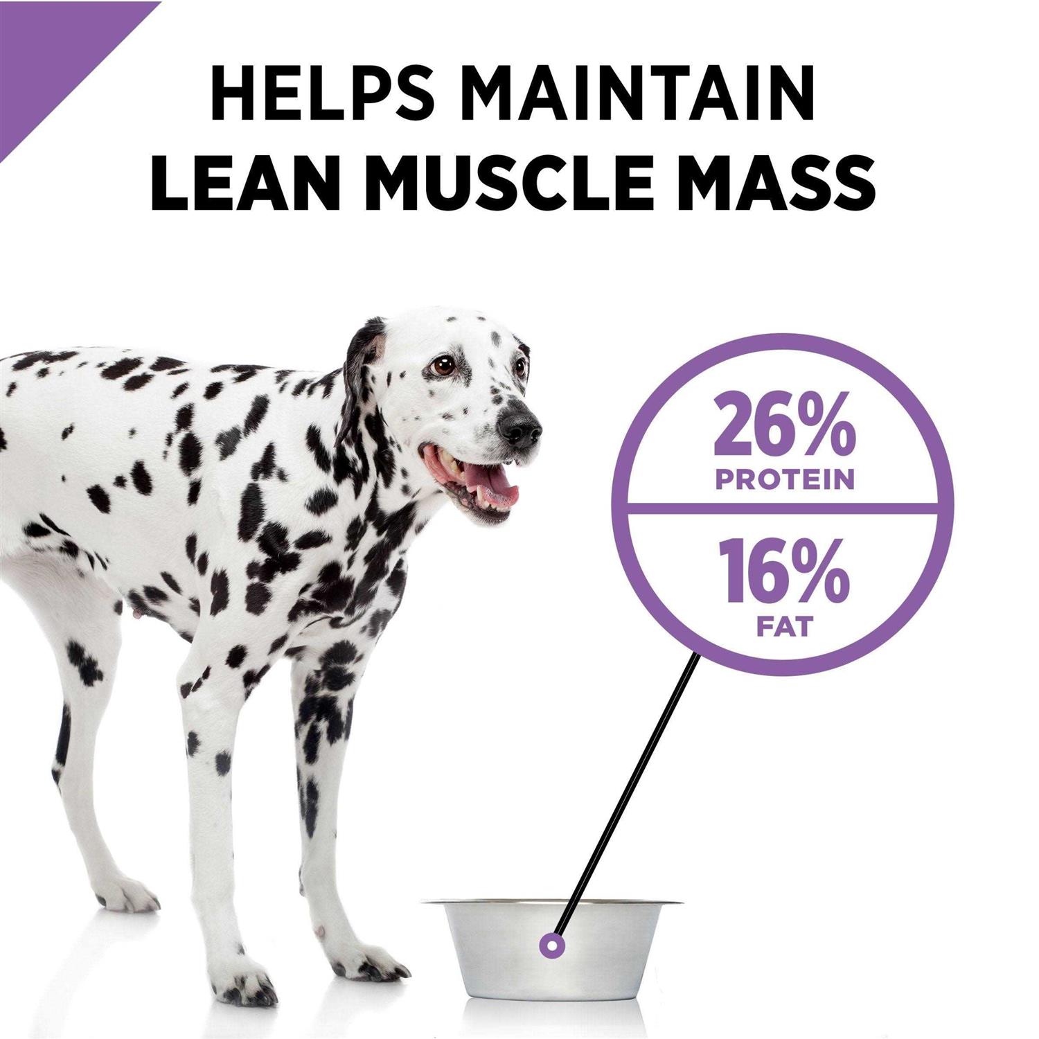 Purina Pro Plan Dry Dog Food Sport Active 26/16 Formula - Nail Gallerys