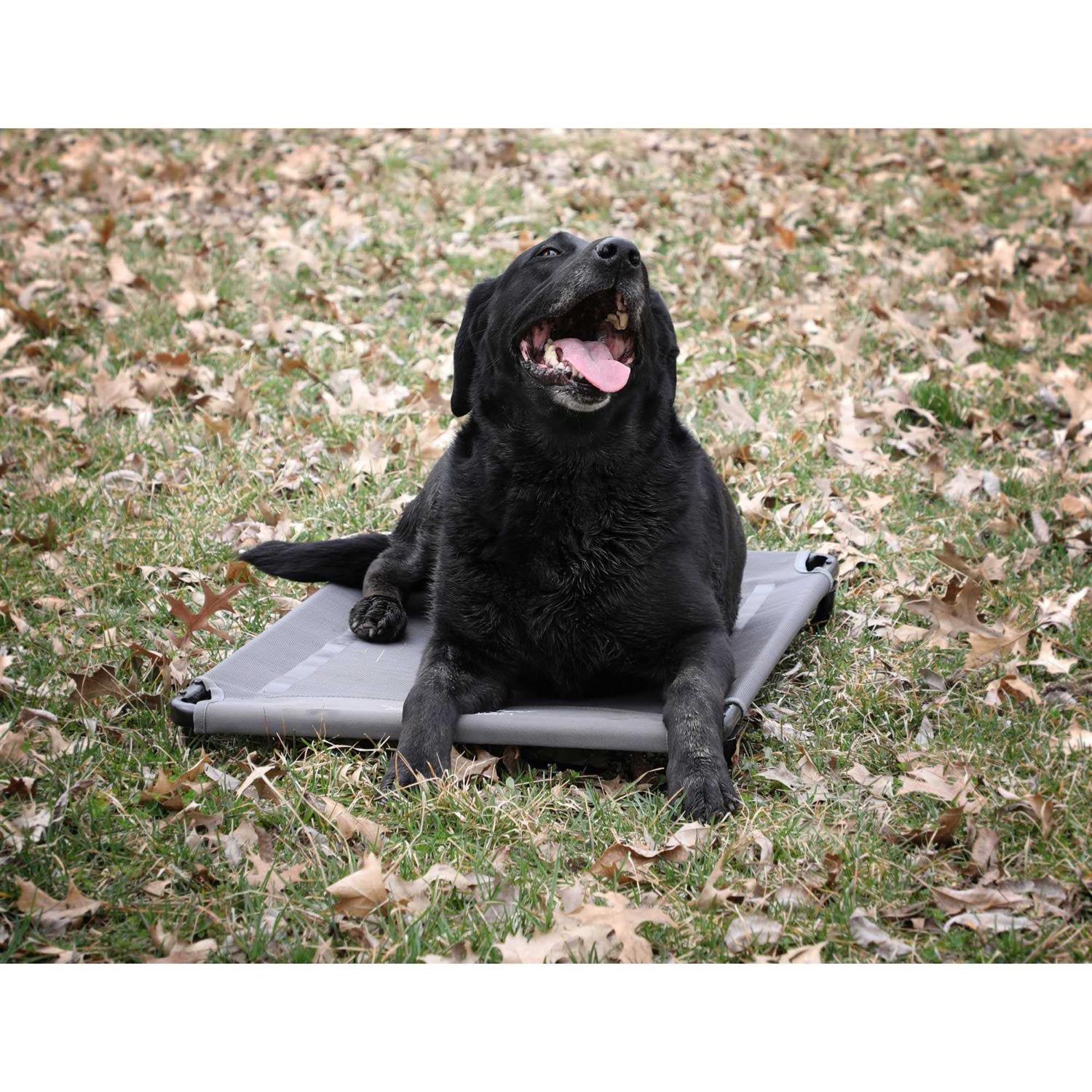 MOmarsh Kennel Cot - Nail Gallerys