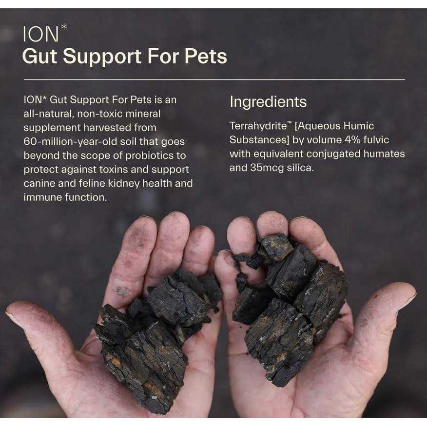 ION Gut Support For Pets - Nail Gallerys