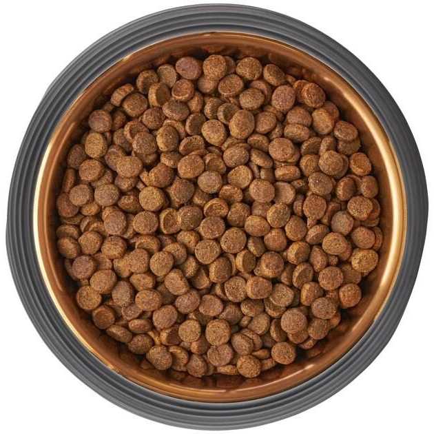 Frisco Matte Black Design Light Copper Stainless Steel Dog & Cat Bowl - Nail Gallerys