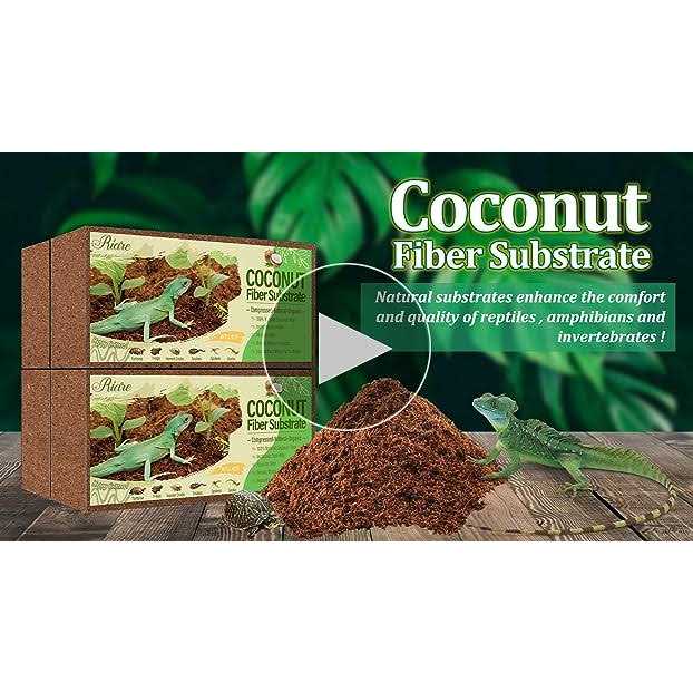 Riare Natural Coconut Fiber Substrate for Reptile Premium Compressed Coconut Husk Terrarium Bedding for Reptile - Nail Gallerys