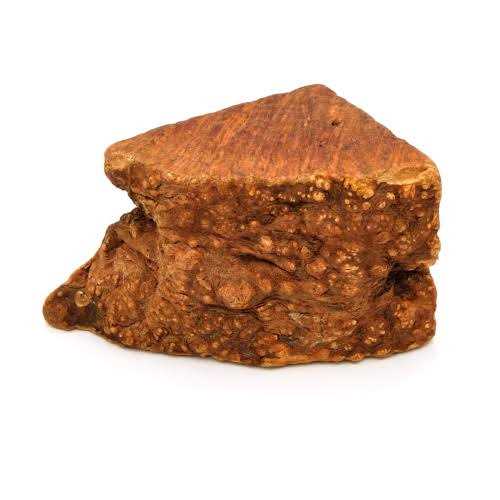 Little Loyals Premium Heather Tree Wood Dog Chew - Nail Gallerys