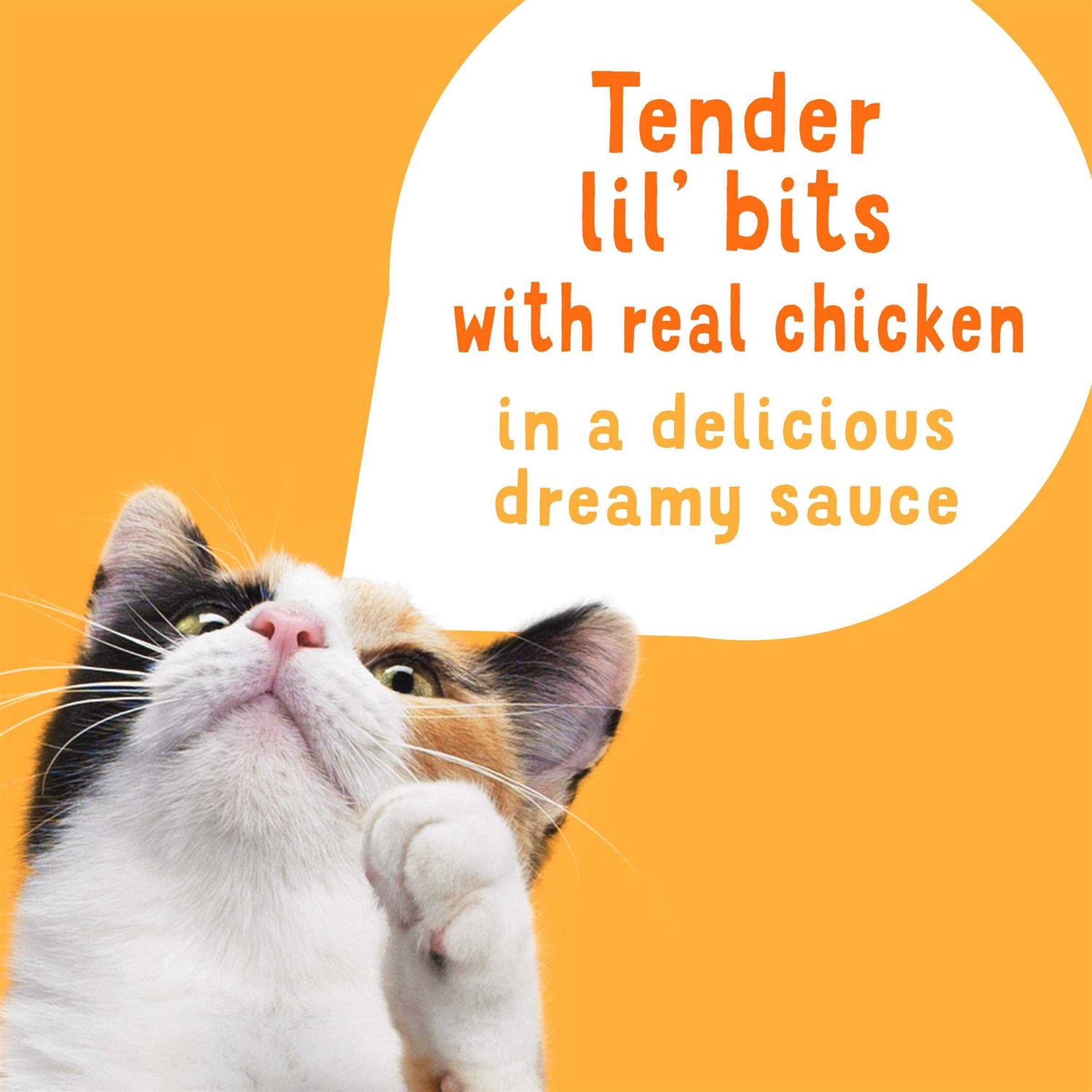 Friskies Lil Slurprises Shredded Chicken in Sauce Wet Cat Food Complement - Nail Gallerys