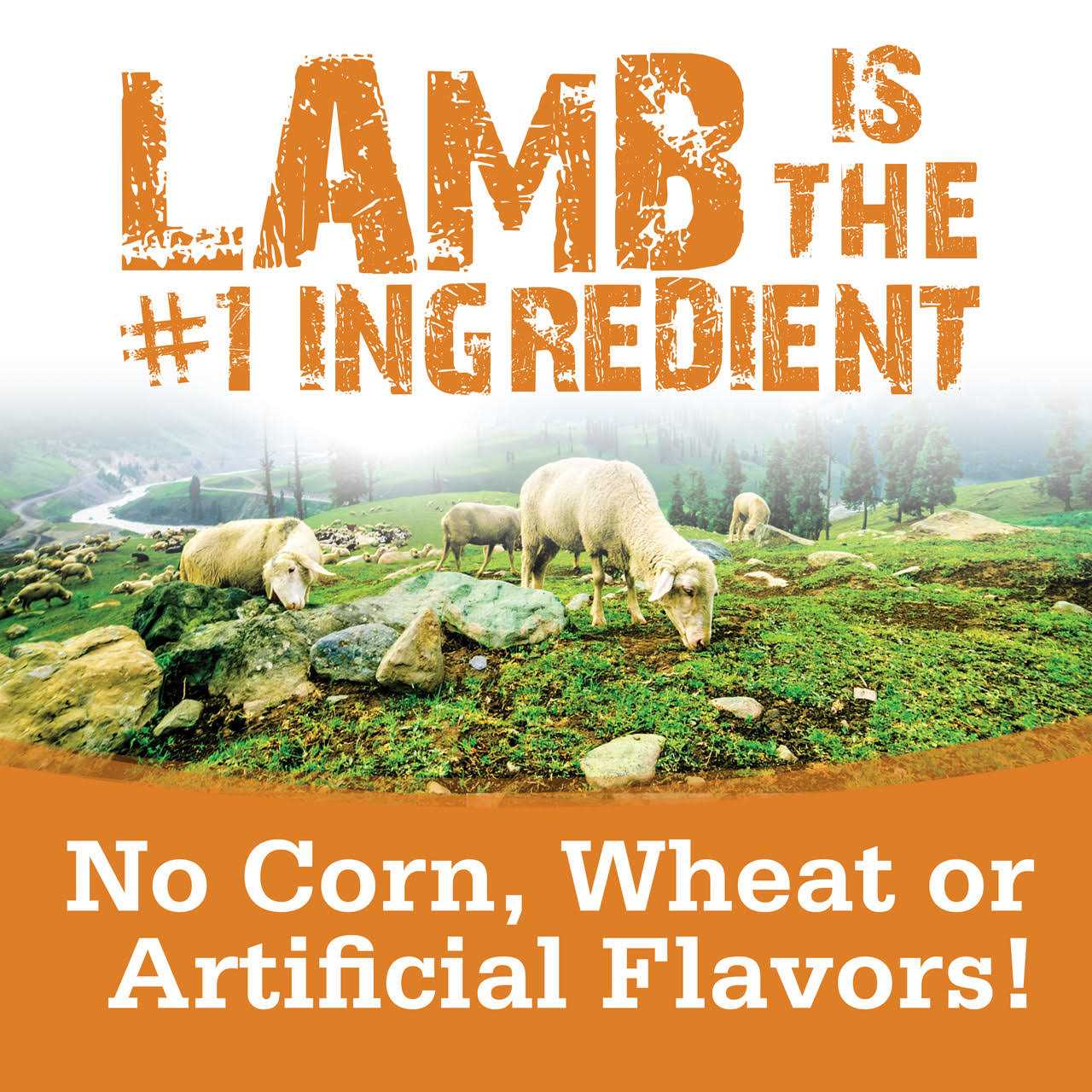 NutriSource Soft & Tender Lamb Dog Treats - Nail Gallerys