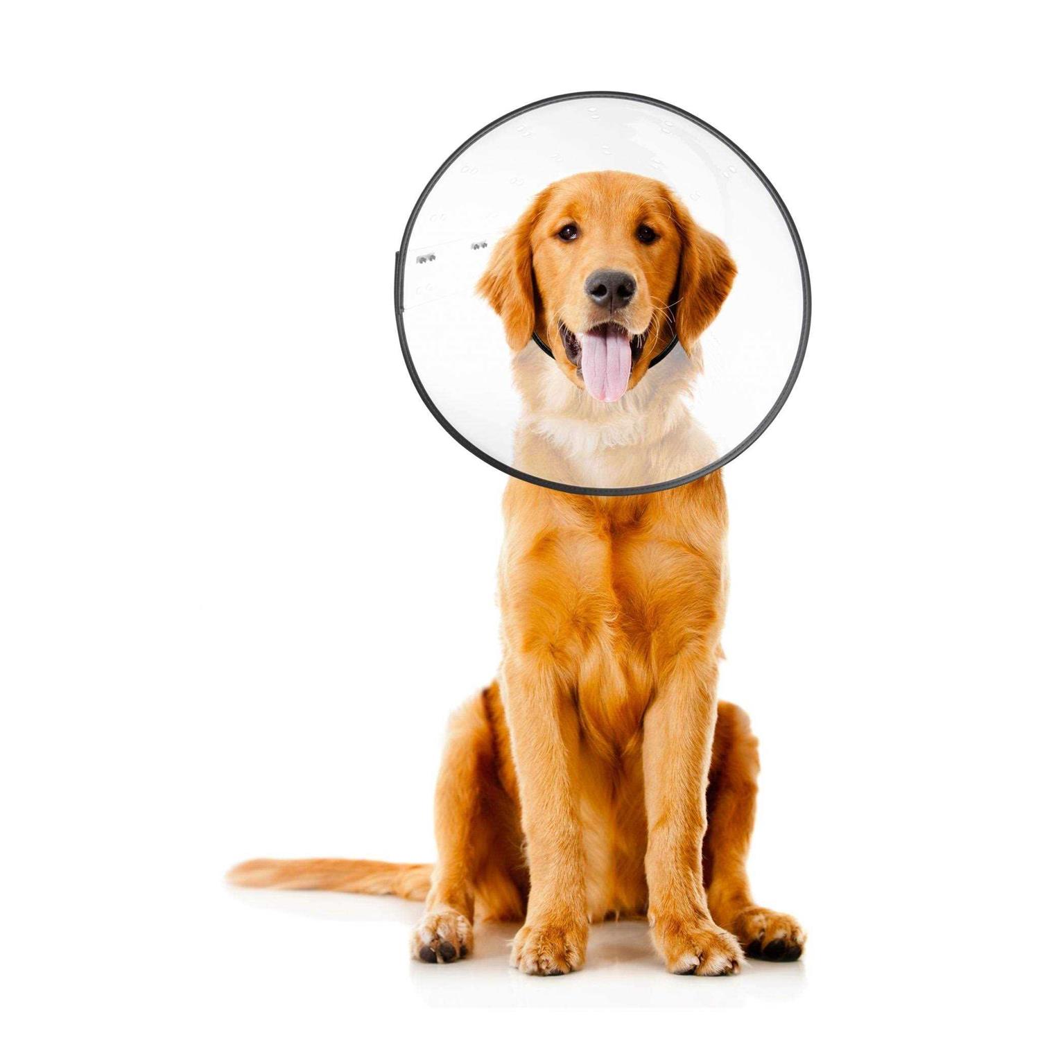 ZenPet E Clear Recovery Collar - Nail Gallerys